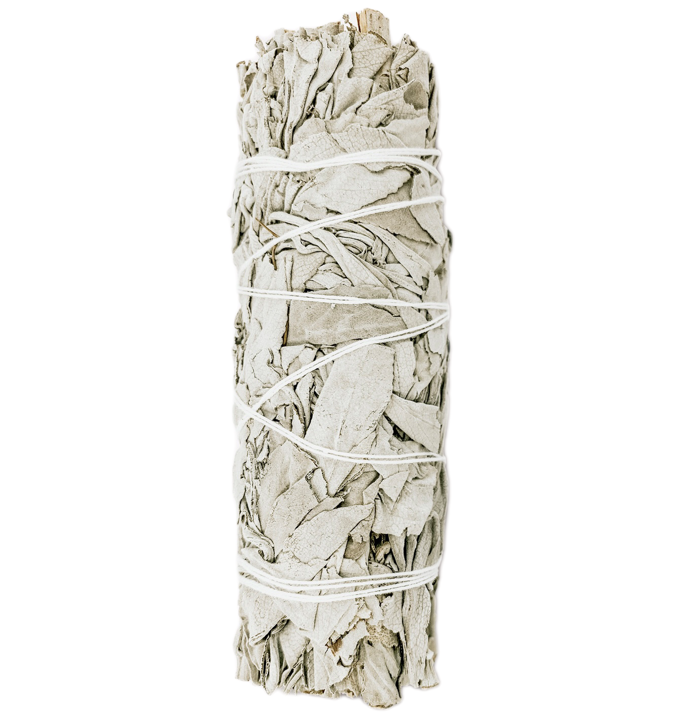 Fagot de sauge blanche